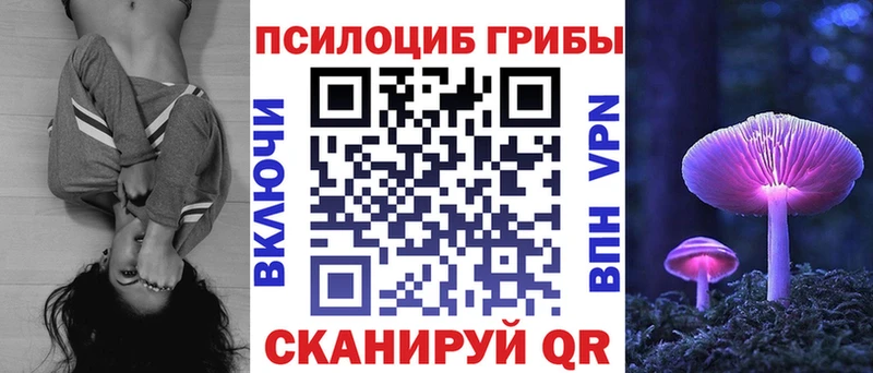 Купить закладки  Арамиль  Псилоцибиновые грибы Psilocybe 
