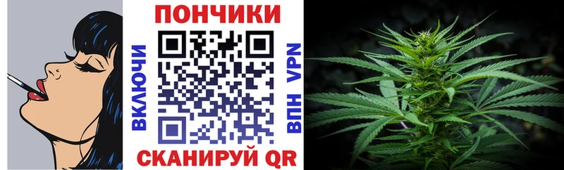 Купить где  Арамиль  Каннабис сатива 